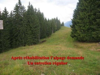Après réhabilitation l’alpage demande Un entretien régulier 