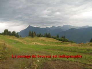 Le passage du broyeur est indispensable 