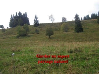 Garder un aspect paysage naturel 