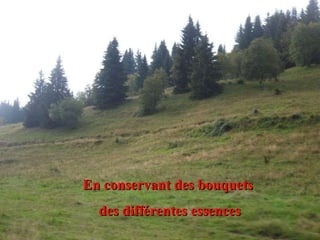 En conservant des bouquets  des différentes essences 