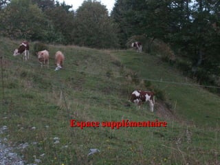 Espace supplémentaire 