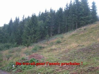 Du travail pour l’année prochaine ! 