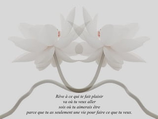 Rêve à ce qui te fait plaisir  va où tu veux aller  sois où tu aimerais être  parce que tu as seulement une vie pour faire ce que tu veux.  