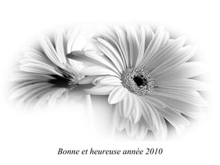 Bonne et heureuse année 2010 