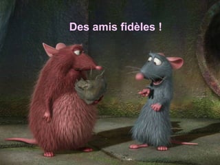 Des amis fidèles !
 