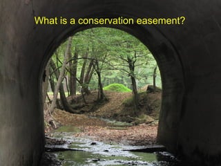 What is a conservation easement?
 