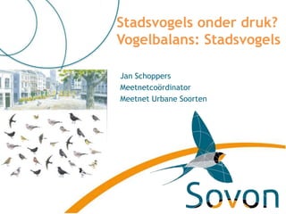 Jan Schoppers
Meetnetcoördinator
Meetnet Urbane Soorten
Stadsvogels onder druk?
Vogelbalans: Stadsvogels
 