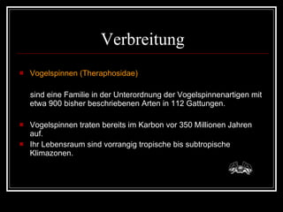 Verbreitung Vogelspinnen (Theraphosidae)  sind eine Familie in der Unterordnung der Vogelspinnenartigen mit etwa 900 bisher beschriebenen Arten in 112 Gattungen. Vogelspinnen traten bereits im Karbon vor 350 Millionen Jahren auf.  Ihr Lebensraum sind vorrangig tropische bis subtropische Klimazonen. 
