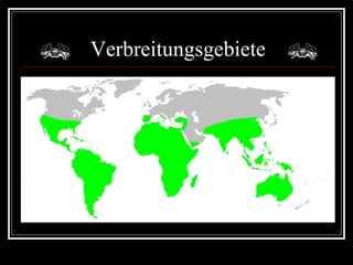 Verbreitungsgebiete 