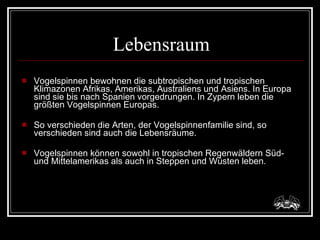 Lebensraum Vogelspinnen bewohnen die subtropischen und tropischen Klimazonen Afrikas, Amerikas, Australiens und Asiens. In Europa sind sie bis nach Spanien vorgedrungen. In Zypern leben die größten Vogelspinnen Europas. So verschieden die Arten, der Vogelspinnenfamilie sind, so verschieden sind auch die Lebensräume. Vogelspinnen können sowohl in tropischen Regenwäldern Süd- und Mittelamerikas als auch in Steppen und Wüsten leben. 