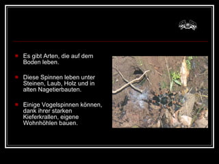 Es gibt Arten, die auf dem Boden leben.  Diese Spinnen leben unter Steinen, Laub, Holz und in alten Nagetierbauten.  Einige Vogelspinnen können, dank ihrer starken Kieferkrallen, eigene Wohnhöhlen bauen. 