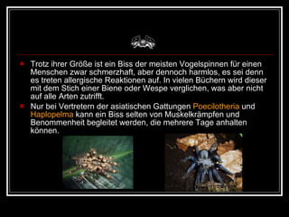 Trotz ihrer Größe ist ein Biss der meisten Vogelspinnen für einen Menschen zwar schmerzhaft, aber dennoch harmlos, es sei denn es treten allergische Reaktionen auf. In vielen Büchern wird dieser mit dem Stich einer Biene oder Wespe verglichen, was aber nicht auf alle Arten zutrifft.  Nur bei Vertretern der asiatischen Gattungen  Poecilotheria  und  Haplopelma  kann ein Biss selten von Muskelkrämpfen und Benommenheit begleitet werden, die mehrere Tage anhalten können.  