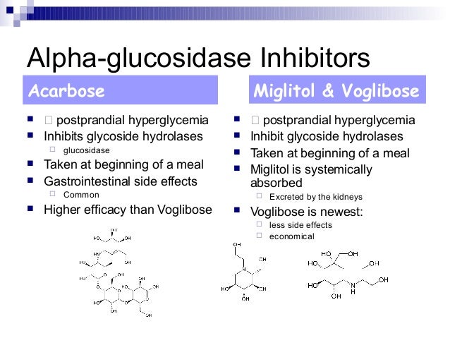 Acarbose Postprandial Hypoglycemia