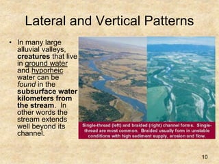 Lateral and Vertical Patterns
• In many large
alluvial valleys,
creatures that live
in ground water
and hyporheic
water can be
found in the
subsurface water
kilometers from
the stream. In
other words the
stream extends
well beyond its
channel.
10
 