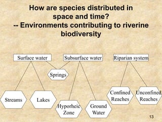 How are species distributed in
space and time?
-- Environments contributing to riverine
biodiversity
Surface water Subsurface water Riparian system
Streams
Springs
Lakes
Hyporheic
Zone
Ground
Water
Confined
Reaches
Unconfined
Reaches
13
 