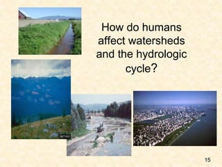 How do humans
affect watersheds
and the hydrologic
cycle?
15
 