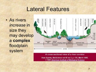 Lateral Features
• As rivers
increase in
size they
may develop
a complex
floodplain
system
7
 