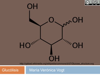 http://upload.wikimedia.org/wikipedia/commons/d/d7/Glucose_structure.svg


Glucólisis            María Verónica Vogt
 