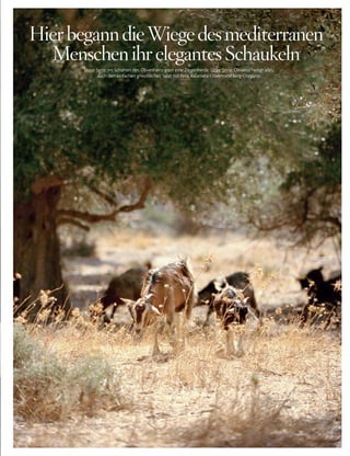 261
Diese Seite: Im Schatten des Olivenhains grast eine Ziegenherde. Linke Seite: Olivenöl heiligt alles,
auch den einfachen griechischen Salat mit Feta, Kalamata-Oliven und Berg-Oregano.
hierbeganndieWiegedesmediterranen
Menschenihrelegantesschaukeln
 