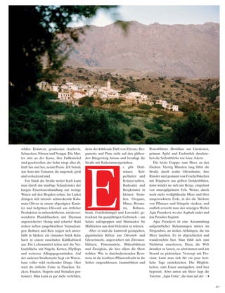 267
wilden Kräutern, gesalzenen Anchovis,
Schnecken, Nüssen und Nougat. Die Mut-
ter sitzt an der Kasse, ihre Fußknöchel
sind geschwollen, der Sohn wiegt alles ab,
läuft hin und her, nennt Preise. Ich belade
das Auto mit Tomaten, die ungestalt, groß
und verlockend sind.
Ein Stück die Straße weiter hoch kann
man durch das staubige Schaufenster der
kargen Eisenwarenhandlung nur wenige
Waren auf den Regalen sehen. Im Laden
drängen sich intensiv schmeckende Kala-
mata-Oliven in einem abgesägten Kanis-
ter und tiefgrünes Olivenöl aus örtlicher
Produktion in unbeschrifteten, wiederver-
wendeten Plastikflaschen; mit Thymian
angereicherter Honig und scharfer Raki
stehen neben ausgebleichten Verpackun-
gen; Bohnen und Reis zeigen sich unver-
hüllt in Säcken; ein einsames Stück Käse
harrt in einem rasselnden Kühlkabinett
aus. Die Lebensmittel teilen sich die Ver-
kaufsfläche mit Nägeln, Ketten, Flipflops
und weiteren Alltagsgegenständen. Auf
der anderen Straßenseite liegt ein Waren-
haus voller wild riechender Dinge: Hier
wird die örtliche Ernte in Flaschen, Sä-
cken, Haufen, Stapeln und Sträußen por-
tioniert. Man kann es gar nicht verfehlen,
denn der kühlende Duft von Zitrone, Ber-
gamotte und Pinie zieht auf den glühen-
den Bürgersteig hinaus und beruhigt die
Straße mit Badezimmergerüchen.
s gibt Duft-
wässer, Kör-
perbutter und
Kräutersalben,
Badesalze und
Bergkräuter in
kleinen Sträu-
ßen. Oregano,
Minze, Rosma-
rin, Bohnen-
kraut, Fenchelstängel und Lavendel, ge-
trocknet für ganzjährigen Gebrauch – um
Salate aufzupeppen und Marinaden für
Mahlzeiten aus dem Holzofen zu würzen.
Aber es sind die kunstvoll gestapelten,
gigantischen Klötze aus Olivenöl- und
Glyzerinseife, angereichert mit Zitronen-
blättern, Piniennadeln, Blütenblättern
und Zweiglein, die hier allem die Show
stehlen. Wie in durchscheinenden Bern-
stein ist die kostbare Pflanzenfracht in die
Seifen eingeschlossen, Jasminblüten und
Rosenblätter. Destillate aus Gardenien,
grünem Apfel und Eselsmilch durchzie-
hen die Seifenblöcke wie feine Adern.
Die letzte Etappe: zum Meer, zu den
Fischen. Vierzig Minuten lang führt die
Straße durch uralte Olivenhaine, ihre
Ränder sind gesäumt von Fenchelbüschen
mit Häuptern aus gelben Doldenblüten,
dann windet sie sich um Berge, eingefasst
von smaragdgrünem Fels. Weiter, durch
noch mehr weißglühende Hitze und über
ausgetrocknete Erde, in der die Skelette
von Pflanzen und Stängeln stecken, und
endlich erreicht man den winzigen Weiler
Agia Paraskevi, wo der Asphalt endet und
das Paradies beginnt.
Agia Paraskevi ist eine Ansammlung
aufgemöbelter Behausungen mitten im
Nirgendwo, an steilen Abhängen, die ins
Meer tauchen. Es ist abgeschieden und
wunderschön hier. Man fühlt sich zum
Nichtstun auserkoren. Dazu, die Welt
draußen zu lassen, zu schwimmen und am
Strand zu picknicken. Versorgt mit Pro-
viant, kann man sich für ein paar herr-
liche Tage zurückziehen. Die Möglich-
keiten, zum Essen auszugehen, sind hier
begrenzt. Aber unten am Meer liegt die
Taverne „Agia Fotia“, die man auf der
E
 