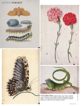 136
2
3
BUSINESS PORTRÄT
V o G u e B u s i n e s s
Fotos:StädelMuseum/Artothek(1),HansHinz/Artothek(1),FaunaPress(1),dpa/picture-alliance(1)
NATURKUNDE 1 Metamorphose eines Falters, handkolo­
rierter kupferstich. 2 Zwei nelken aus Merians Blumenbuch. 3 Grüner
leguan – ein exot aus dem fernen surinam. 4 „agrippina“, englischer
kupferstich von 1802 nach einer Vorlage von Merian.
1
4
 