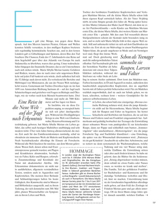 s gab eine Menge, was gegen diese Reise
sprach. Auf den Meeren lauerten Piraten, Orkane und Wellen
konnten Schiffe versenken, in den muffigen Kajüten breiteten
sich regelmäßig heimtückische Seuchen aus, und in den fernen
Ländern gab es Giftschlangen und Spinnen, deren Biss den Tod
brachten. Die Chancen, Ende des 17. Jahrhunderts eine Reise auf
dem Segelschiff quer über den Atlantik von Europa bis nach
Südamerika zu überleben, waren eher gering. Umso wahrschein-
licher hingegen das finanzielle Desaster, das so ein Unternehmen
nach sich ziehen würde. Maria Sibylla Merian kannte Gefahren
und Risiken, wusste, dass sie nach einer sehr ungewissen Rück-
kehr auf jeden Fall bankrott sein würde, doch aufhalten ließ sich
die 52-Jährige auch davon nicht. Zu verlockend die Berichte und
Mitbringsel von Missionaren, die aus der Neuen Welt zurückge-
kehrt waren. Gemeinsam mit Tochter Dorothea legte sie im Juni
1699 von Amsterdam Richtung Surinam ab – auf der Jagd nach
Schmetterlingen und getrieben von Fragen zu Biologie und Öko-
logie, wie sie vorher noch kein Mensch beantwortet hatte. Drei
Monate und mehr als 7000 Kilo-
meter auf See lagen vor ihnen.
So furchtlos, wie sie diese Ex-
pedition anging, so energisch hatte
sie sich seit jeher durchgeschla-
gen. Während des Dreißigjährigen
Kriegs in eine Welt von Glaubens-
wahn, Hexenverbrennung und Un-
terdrückung geboren, hat Maria Sibylla Merian ein Leben ge-
führt, das selbst nach heutigen Maßstäben unabhängig und sehr
modern wirkt. Über viele Jahre hinweg alleinerziehend, die mei-
ste Zeit auch für das Familieneinkommen zuständig, schuf sie
obendrein ein immenses Werk als Malerin und Kupferstecherin.
Noch beeindruckender allerdings ihr Einsatz als Forscherin.
Während alle Welt Insekten für nutzlose, aus dem Morast gekro-
chene Wesen hielt, denen schon mal Exor-
zistenprozesse gemacht wurden, um Plagen
und Krankheiten abzuwenden, beobach-
tete sie Falter, Käfer und Raupen, erforsch-
te Zusammenhänge und Kreisläufe der
Natur mit akademischer Akribie. Alle
Erkenntnisse dokumentierte sie nicht nur
in ausführlichen, allgemein verständlichen
Texten, sondern auch in Aquarellen und
Kupferstichen. Die meisten ihrer Befunde
und Schlussfolgerungen haben bis heute
Gültigkeit, ihre Kunstwerke sind in Museen
und Bibliotheken ausgestellt, und zu ihrem
Todestag, der sich demnächst zum 300. Mal
jährt, planen Wissenschaftler ein Symposi-
um zu ihrem Leben und Werk.
Tochter des berühmten Frankfurter Kupferstechers und Verle-
gers Matthäus Merian, soll die kleine Maria Sibylla schon früh
ihren eigenen Kopf entwickelt haben. Als der Vater 56-jährig
stirbt, ist seine Jüngste gerade drei Jahre alt. Wenig später heira-
tet ihre Mutter Johanna den Maler Jacob Marrel, mit dem sie ei-
ne Art Patchworkfamilie – sechs Kinder aus Matthäus Merians
erster Ehe, die kleine Maria Sibylla, drei weitere Kinder aus Mar-
rels erster Ehe – gründet. Mit den zum Teil wesentlich älteren
Stiefgeschwistern scheint der Kontakt nicht besonders innig zu
sein, und so zieht sich Maria Sibylla früh in ihre eigene Welt zu-
rück. Still und unbemerkt richtet sie sich auf dem Dachboden ein
Atelier ein. Erst als sie zur Malvorlage in einem Nachbarsgarten
Tulpen klaut, die gerade ungeheuer in Mode und ein Vermögen
wert sind, fliegt ihre kleine Werk-
statt auf. Doch gleichzeitig wird
auch ihr außergewöhnliches Talent
offenbar. Tief beeindruckt gibt sich
der bestohlene Nachbar als Scha-
denersatz mit einem ihrer Tulpen-
bildchen zufrieden, während der
Stiefvater sie voller Stolz als Lehr-
ling in seinem Atelier aufnimmt. Dort lernt das Mädchen nun,
Farben herzustellen, in Öl und Aquarell zu malen, außerdem den
handwerklich anspruchsvollen Kupferstich, den sie angeblich
bereits mit elf Jahren perfekt beherrschen wird. Für ein Mädchen
reichlich ungewöhnlich, darf sie auch zur Schule gehen, wo sie
lesen, schreiben, rechnen lernt – weitere Grundpfeiler für ihr
späteres selbstbestimmtes Leben.
E
in Leben, das schon bald eine einzigartige, überaus exo-
tische Richtung nehmen wird, denn die junge Künstle-
rin stößt auf ihr Herzensthema. Maria Sibylla beginnt
sich für Raupen und Falter zu begeistern. Sie hortet
Schachteln und Körbchen mit Insekten, die sie auf den
Wiesen und Feldern rund um Frankfurt eingesammelt hat. Auf-
merksam und geduldig beobachtet der Teenager die Entwicklung
dieser seltsamen Wesen vom punktgroßen Ei zur kriechenden
Raupe, dann zur Puppe und schließlich zum bunten „Sommer-
vögelein“ oder unscheinbaren „Mottenvögelein“, wie die junge
Forscherin Tag- und Nachtfalter klassifiziert – eine Einteilung,
die später von der Wissenschaft übernommen wird. „Patiencya
ist ein gut Kräutlein“, beschreibt sie selbst ihre Arbeitsweise, und
so notiert sie denn systematisch die Wachstumsphasen, welche
Nahrung und wie viel Wasser nötig sind,
welche Einflüsse die Entwicklung stören
oder aber auch fördern können. So habe sie
gelernt, dass die Blätter für die Seidenrau-
pen „fleissig abgetrucknet werden müssen,
denn sobald sie etwas Faules oder Nasses
essen, so werden sie krank und sterben“.
Die Familie, Teil der gebildeten Frankfur-
ter Buchdrucker- und Kunstszene und für
damalige Verhältnisse weltoffen und libe-
ral, lässt sie machen. Unterstützung kann
sie der forschenden Jugendlichen allerdings
nicht geben, auf dem Feld der Zoologie ist
Fräulein Merian ganz und gar allein unter-
wegs. Ob sie ihren Mann einige Jahre spä-
ter danach auswählt, welchen Einfluss
137
E
Eine Reise in
die Neue Welt –
auf der Jagd
nach Erkenntnis
Schon als Teenager
sammelte sie
Raupen, Larven
und Falter
in london zeigt der Buckingham Palace
noch bis 9. oktober 2016 Merians Bilder
und originalbücher, die das königshaus
im 18. Jahrhundert erworben hatte (the
Queen’s Gallery). die insel­Bücherei brach­
te ihre Blumen­, insekten­ und tropen­
bilder in liebevoll gestalteten Bändchen
heraus. außerdem gibt es diverse Bücher
zuihrerBiografie–sowohldokumentarisch
als auch in romanform. die Maria sibylla
Merian society plant für 7. bis 9. Juni 2017
ein symposium an der uni amsterdam zum
leben und Werk der 1717 verstorbenen
Wissenschaftlerin. außerdem sind nach
Maria sibylla Merian zahlreiche schulen
sowie der Garten der nürnberger kaiser­
burg benannt, ausflugsboote und ein For­
schungsschiff tragen ihren namen.
hoMMAgE
 