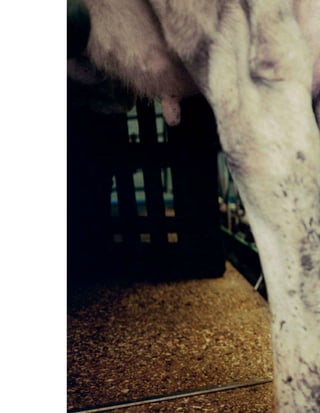 Vogue_Japan_march_2016