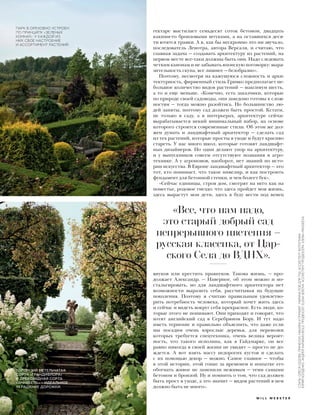 гектаре выстилает семьдесят соток бетоном, двадцать
какими-то бронзовыми штуками, а на оставшихся деся-
ти ютятся травки. А я, как бы нескромно это ни звучало,
последователь Ленотра, автора Версаля, и считаю, что
главная задача — создавать архитектуру из растений, на
первом месте все-таки должны быть они. Надо следовать
четким канонам и не забывать японскую поговорку: выра-
зительность скупа, все лишнее — безобразно».
Поэтому, несмотря на кажущуюся сложность и архи-
тектурность, фирменный стиль Гривко предполагает не-
большое количество видов растений — максимум шесть,
а то и еще меньше. «Конечно, есть заказчики, которые
по природе своей садоводы, они заведомо готовы к слож-
ностям — тогда можно разойтись. Но большинство лю-
дей заняты, поэтому сад должен быть простой. Кстати,
не только в саду, а в интерьерах, архитектуре сейчас
вырабатывается некий минимальный набор, на основе
которого строятся современные стили. Об этом же дол-
жен думать и ландшафтный архитектор — сделать сад
из тех растений, которые просты в уходе и будут красиво
стареть. У нас много школ, которые готовят ландшафт-
ных дизайнеров. Но одни делают упор на архитектуру,
и у выпускников совсем отсутствуют познания в агро-
технике. А у агрономов, наоборот, нет знаний по исто-
рии искусства. В Европе ландшафтный архитектор — это
тот, кто понимает, что такое нивелир, и как построить
фундамент для бетонной стенки, и чем болеет бук».
«Сейчас единицы, строя дом, смотрят на него как на
поместье, родовое гнездо: что здесь пройдет моя жизнь,
здесь вырастут мои дети, здесь я буду вести под венец
внуков или крестить правнуков. Такова жизнь, — про-
должает Александр. — Наверное, об этом можно и но-
стальгировать, но для ландшафтного архитектора нет
возможности выразить себя, рассчитывая на будущие
поколения. Поэтому я считаю правильным удовлетво-
рить потребность человека, который хочет жить здесь
и сейчас и видеть вокруг себя прекрасное. Есть люди, ко-
торые этого не понимают. Они приходят и говорят, что
хотят английский сад в Серебряном Бору. И тут надо
иметь терпение и правильно объяснить, что даже если
мы посадим очень взрослые деревья, для перевозки
которых требуется спецтехника, очень велика вероят-
ность, что такого исполина, как в Гайд-парке, он все
равно никогда в своей жизни не увидит — просто не до-
ждется. А вот взять массу недорогих кустов и сделать
с их помощью декор — можно. Самое главное — чтобы
в этой истории, этой гонке за временем и попытке его
обогнать живое не заменили неживым — теми самыми
бетоном и бронзой. Ну и помнить о том, что сад должен
быть прост в уходе, а это значит — видов растений в нем
должно быть не много».
«Все, что нам надо,
это старый добрый сад
непрерывного цветения –
русская классика, от Цар-
ского Села до ВДНХ».
ГОРТЕНЗИЯ МЕТЕЛЬЧАТАЯ
СОРТА «ГРАНДИФЛОРА»
И ДРЕВОВИДНАЯ СОРТА
«АННАБЕЛЬ» – ИДЕАЛЬНОЕ
УКРАШЕНИЕ ДОРОЖКИ.
ПАРК В ОРЕХОВНО УСТРОЕН
ПО ПРИНЦИПУ «ЗЕЛЕНЫХ
КОМНАТ»: У КАЖДОЙ ИЗ
НИХ СВОЕ НАСТРОЕНИЕ
И АССОРТИМЕНТ РАСТЕНИЙ.
СТИЛЬ:ОЛЕСЯСЕДОВА.ПРИЧЕСКИ,МАКИЯЖИГРУМИНГ:МАРИНАРОЙДЛЯTIGI.АССИСТЕНТФОТОГРАФА:
ЮРИЙБОЛДЕНКО,АНДРЕЙХАРЫБИН/BOLD.ПРОДЮСЕР:ELENASEROVA.АССИСТЕНТПРОДЮСЕРА:KSENIAFINOGEEVA
W I L L W E B S T E R
 