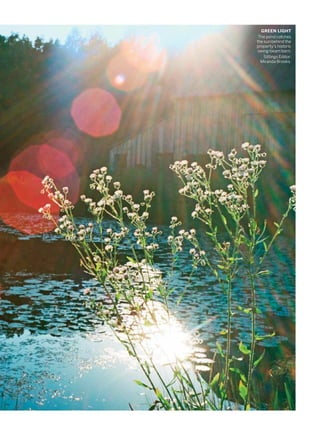 GREEN LIGHT
The pond catches
the sun behind the
property’s historic
swing-beam barn.
Sittings Editor:
Miranda Brooks.
 