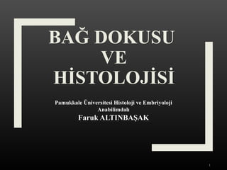 BAĞ DOKUSU
VE
HİSTOLOJİSİ
Pamukkale Üniversitesi Histoloji ve Embriyoloji
Anabilimdalı
Faruk ALTINBAŞAK
1
 