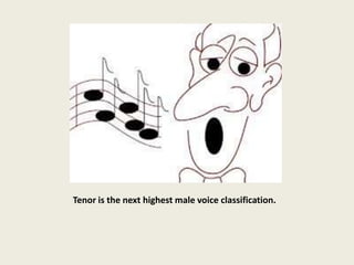 Tenor is the next highest male voice classification.
 