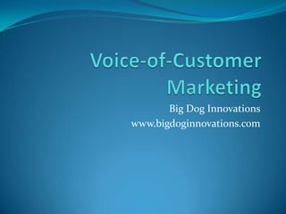 Voice-of-Customer Marketing Big Dog Innovations www.bigdoginnovations.com 