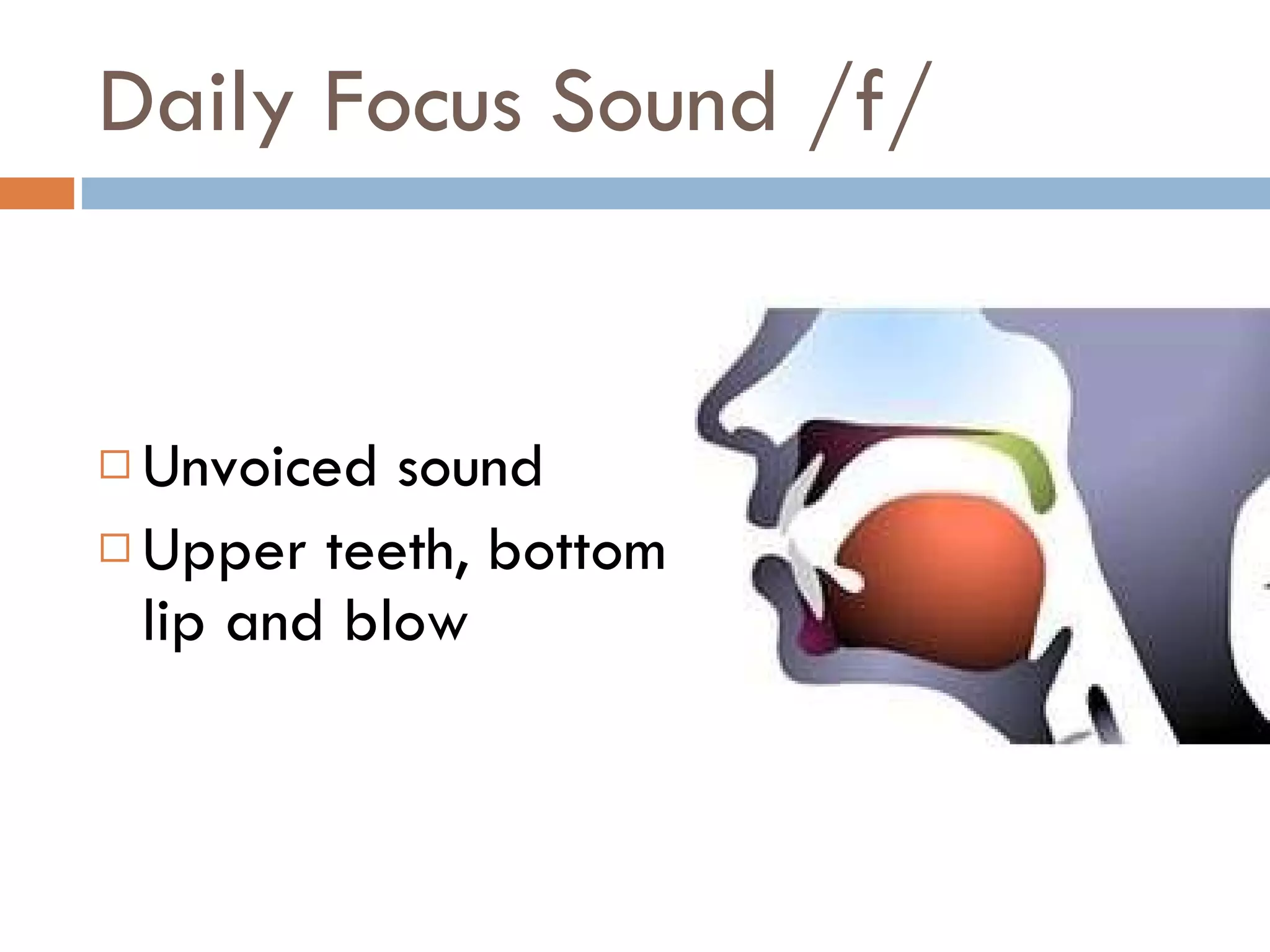 Daily Focus Sound /f/ Unvoiced sound Upper teeth, bottom lip and blow 