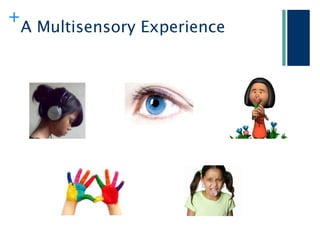 +
    A Multisensory Experience
 