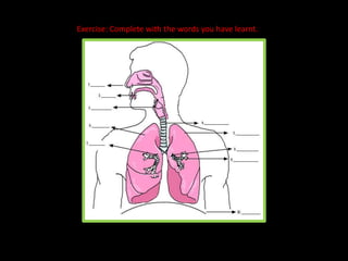 Exercise: Complete with the words you have learnt.
 