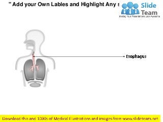 " Add your Own Lables and Highlight Any section"
 