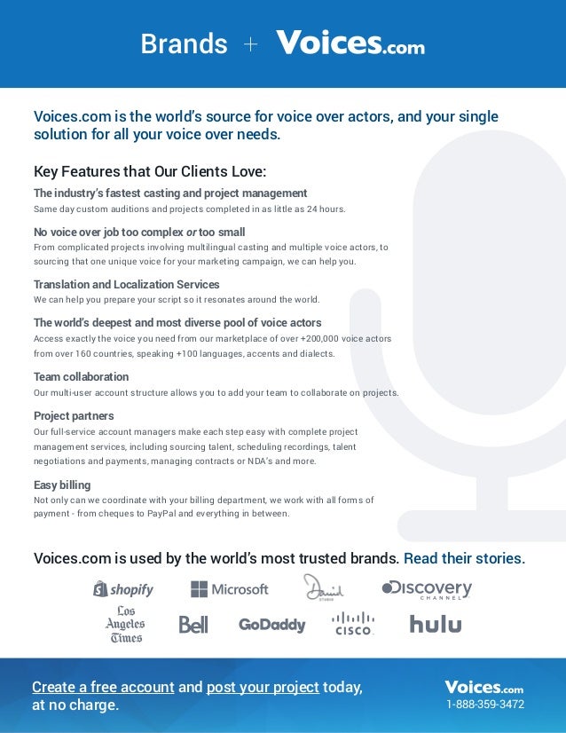 voice over business plan template