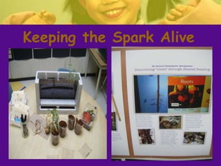 Keeping the Spark Alive