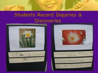 Students Record Inquiries &
Discoveries