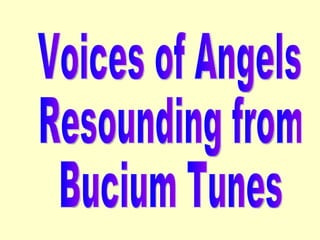 Voices of Angels Resounding from Bucium Tunes 