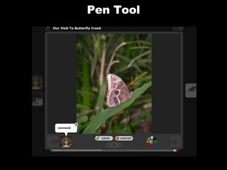 Pen Tool 