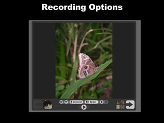 Recording Options 