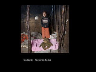 Tangawizi – Keekorok, Kenya
 