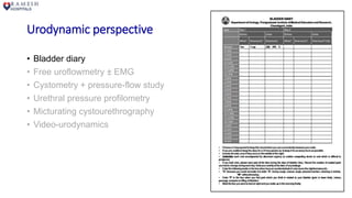 Urodynamic perspective
• Bladder diary
• Free uroflowmetry ± EMG
• Cystometry + pressure-flow study
• Urethral pressure profilometry
• Micturating cystourethrography
• Video-urodynamics
 