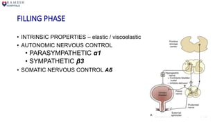 FILLING PHASE
• INTRINSIC PROPERTIES – elastic / viscoelastic
• AUTONOMIC NERVOUS CONTROL
• PARASYMPATHETIC α1
• SYMPATHETIC β3
• SOMATIC NERVOUS CONTROL Aδ
 