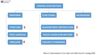 VOIDING DYSFUNCTION
ANATOMIC FUNCTIONAL NEUROGENIC
STRICTURE
POST-SURGICAL
PROLAPSE
BLADDER NECK OBSTRUCTION
PELVIC FLOOR DYSFUNCTION
FOWLER’S SYNDROME
Meier K, Padmanabhan P. Curr Opin Urol 2016; Kuo HC. Urology 2005.
1
23
4
 