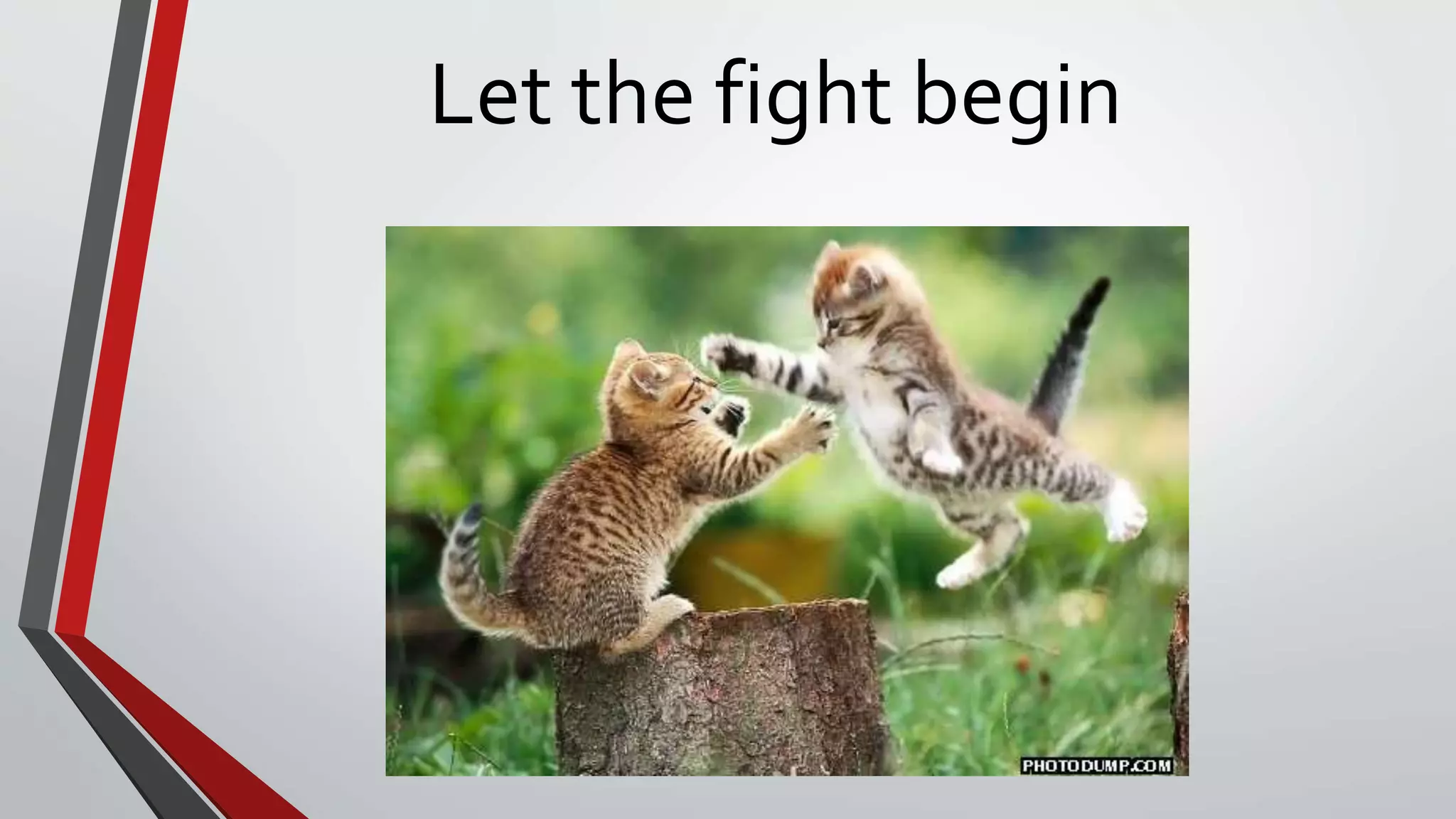 Let the fight begin
 