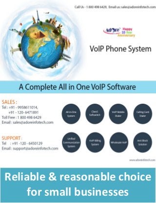     Call Us ‐ 1 800 498 6429,   
      Email us: sales@adoreinfotech.com 
 
 
 
 
 
Reliable & reasonable choice 
for small businesses 
 