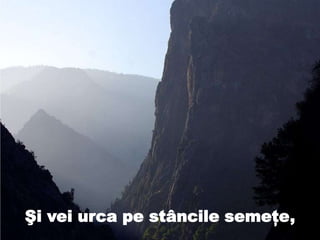 Şi vei urca pe stâncile semeţe,
 