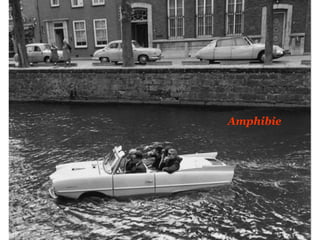 Amphibie
 